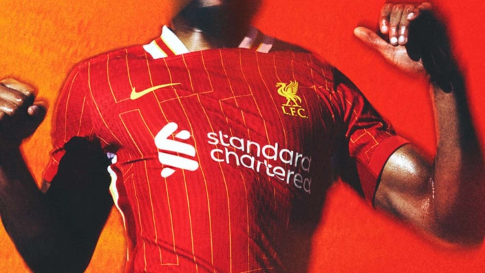 教练不得不 教练不得不